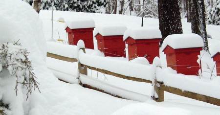 Warming hives for the winter