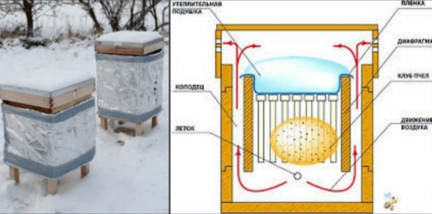 Warming hives for the winter