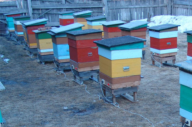 Warming hives for the winter