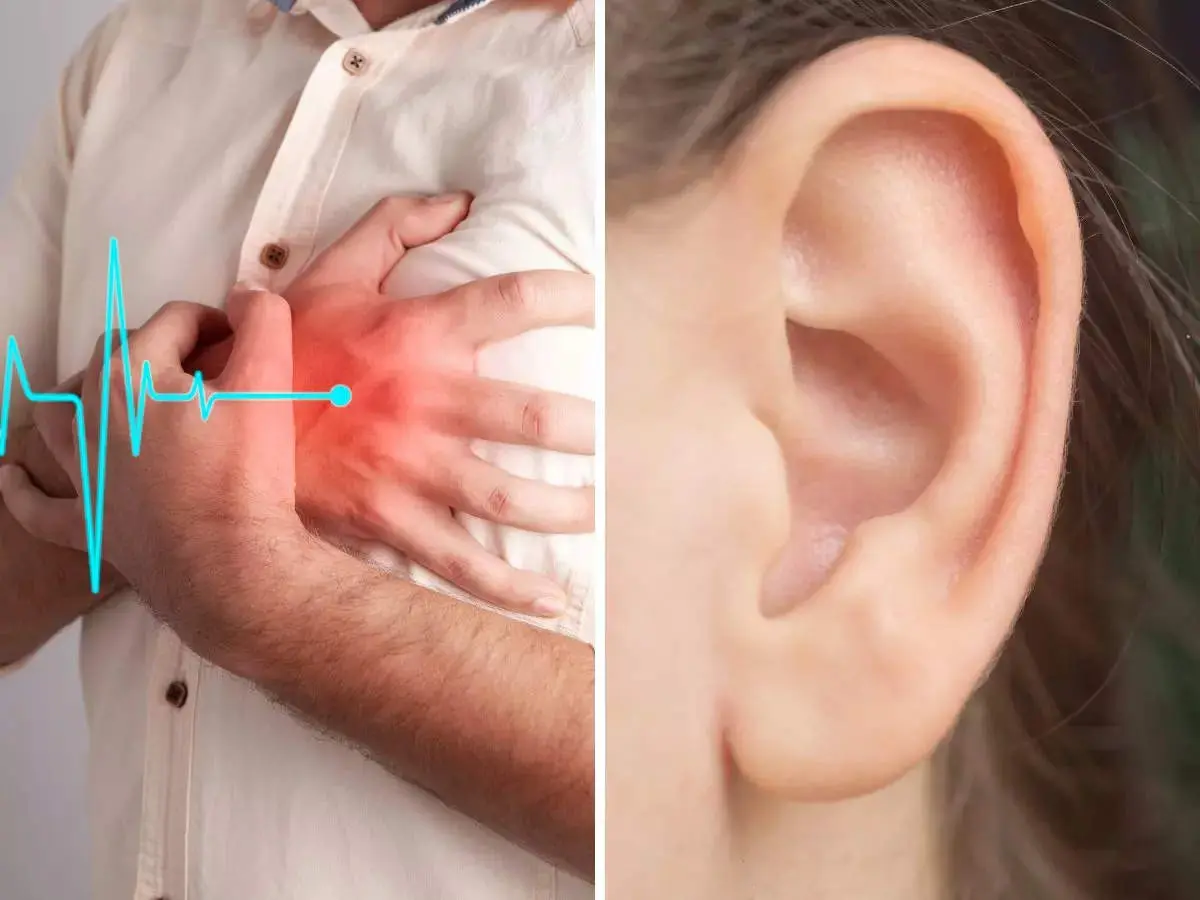 Warning symptom of a heart attack. It appears on the ear