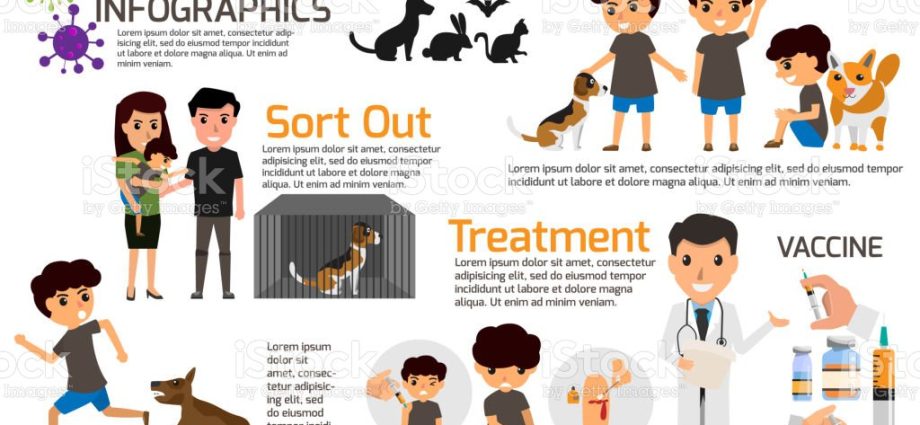 Watch out for rabies! [INFOGRAPHICS]