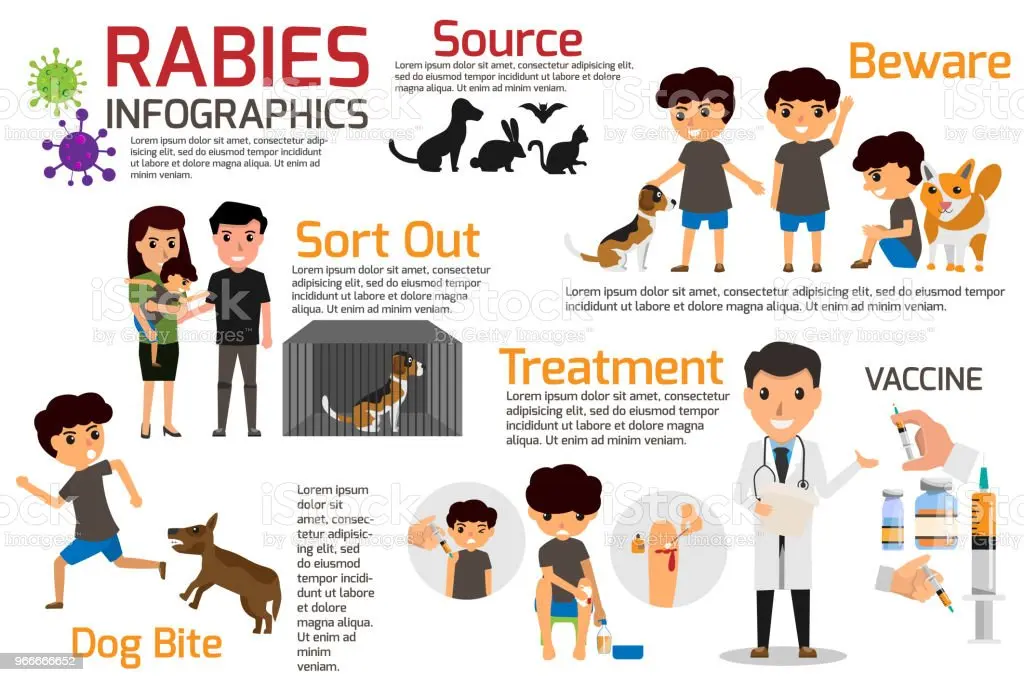 Watch out for rabies! [INFOGRAPHICS]