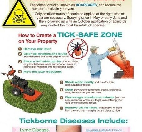 Watch out for ticks all year round [INFOGRAPHICS]