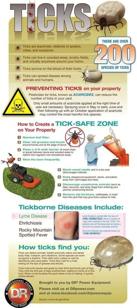 Watch out for ticks all year round [INFOGRAPHICS]