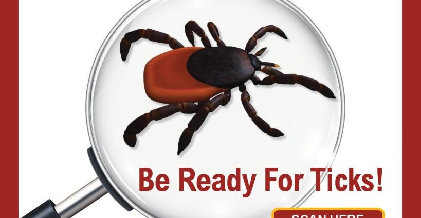 Watch out for ticks! Sanepid warns