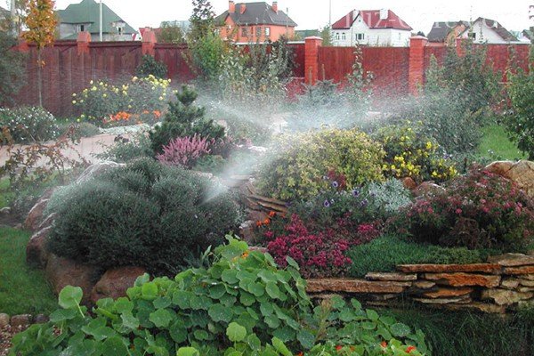 Watering flowers in the garden: organizing automatic irrigation