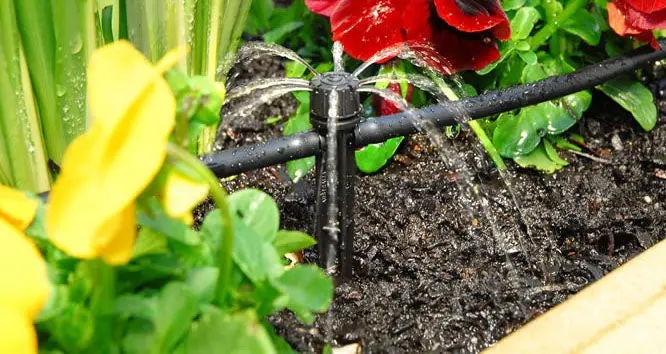 Watering flowers in the garden: organizing automatic irrigation