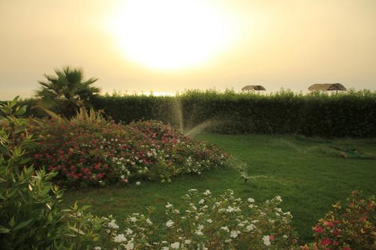 Watering the garden: methods for arranging and implementing irrigation