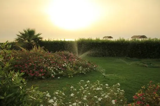 Watering the garden: methods for arranging and implementing irrigation