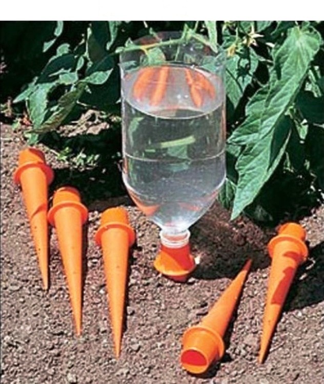 Watering the garden with plastic bottles: features of drip irrigation