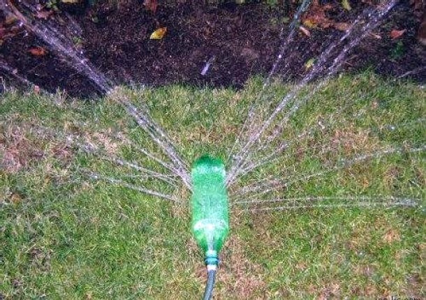 Watering the garden with plastic bottles: features of drip irrigation