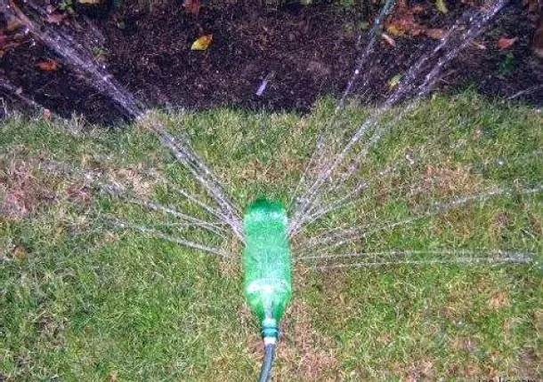 Watering the garden with plastic bottles: features of drip irrigation