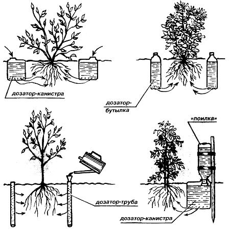 Watering the garden with plastic bottles: features of drip irrigation