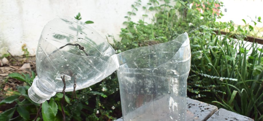 Watering the garden with plastic bottles: features of drip irrigation