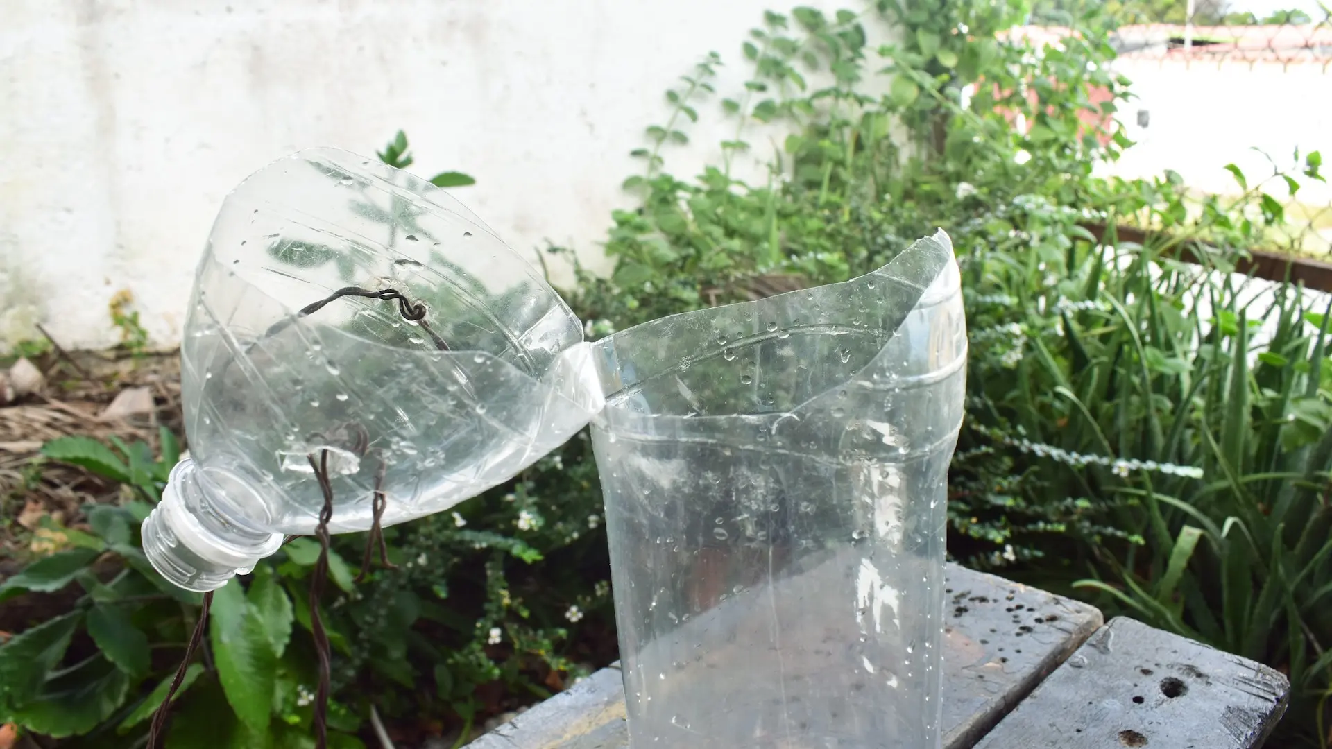 Watering the garden with plastic bottles: features of drip irrigation