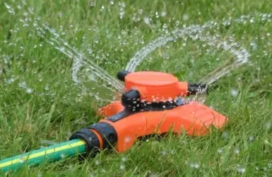 Watering the garden without the hassle: organizing irrigation in the country