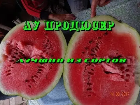 Watermelon AU Producer PVP