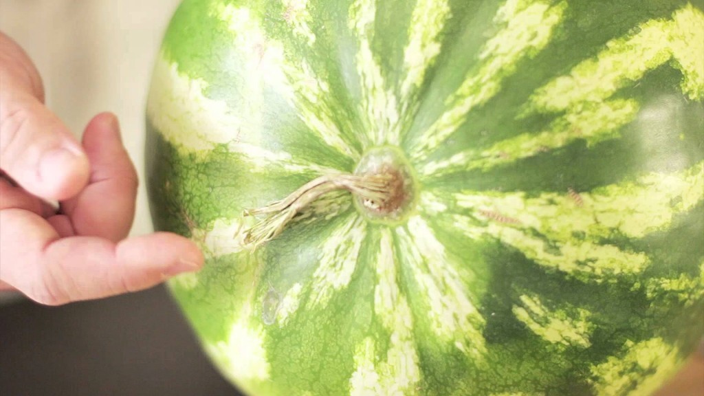 Watermelon in the middle lane: growing tips