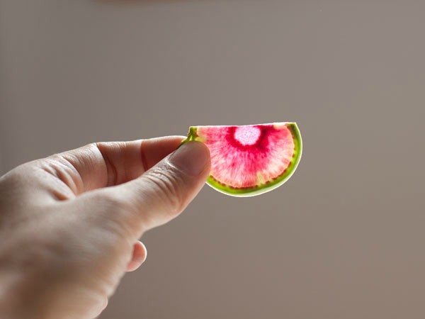 Watermelon radish - a unique useful hybrid