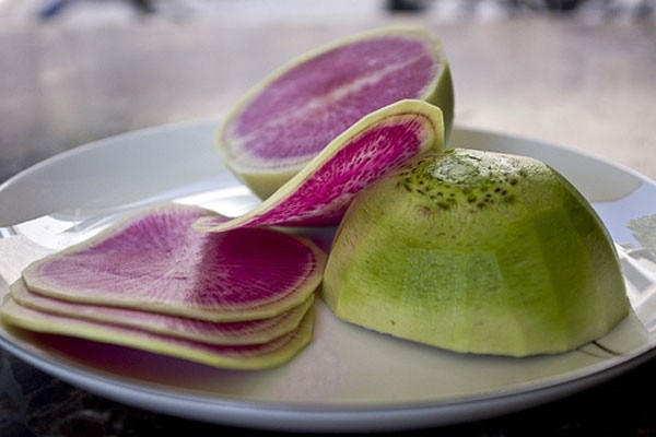 Watermelon radish - a unique useful hybrid