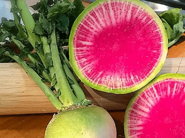 Watermelon radish: description, photo, reviews