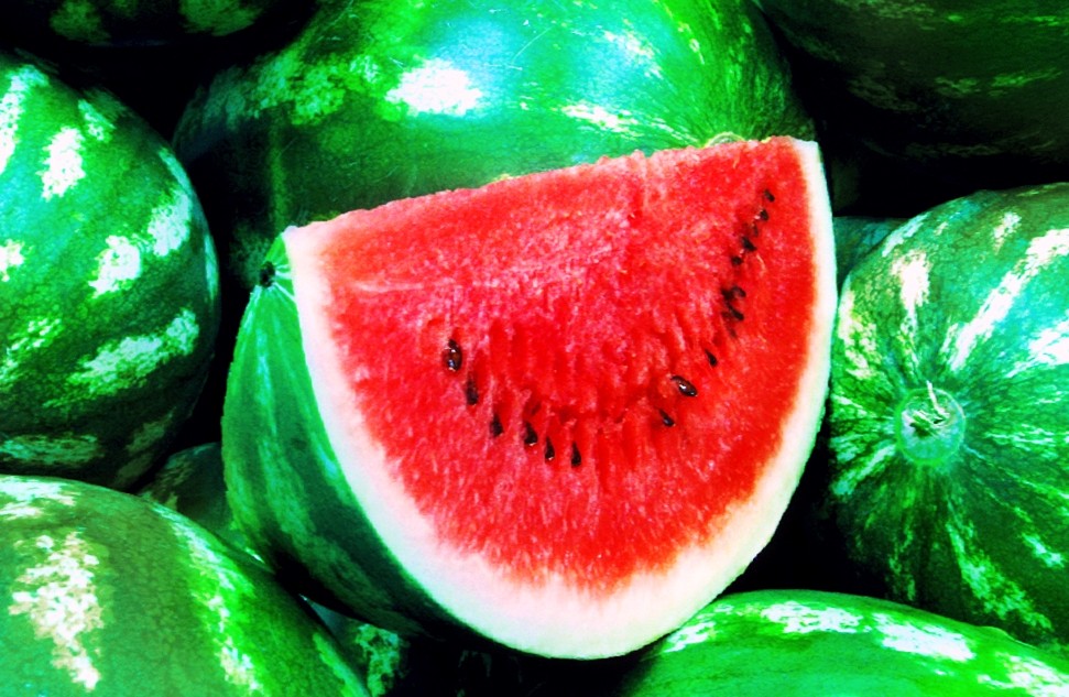 Watermelon Silver Handsome: advantages and description