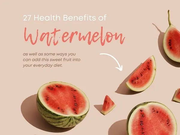 Watermelon Silver Handsome: advantages and description