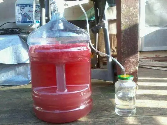 Watermelon wine at home: a simple recipe