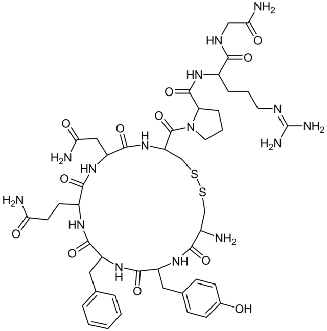 Wazopresyna (AVP)