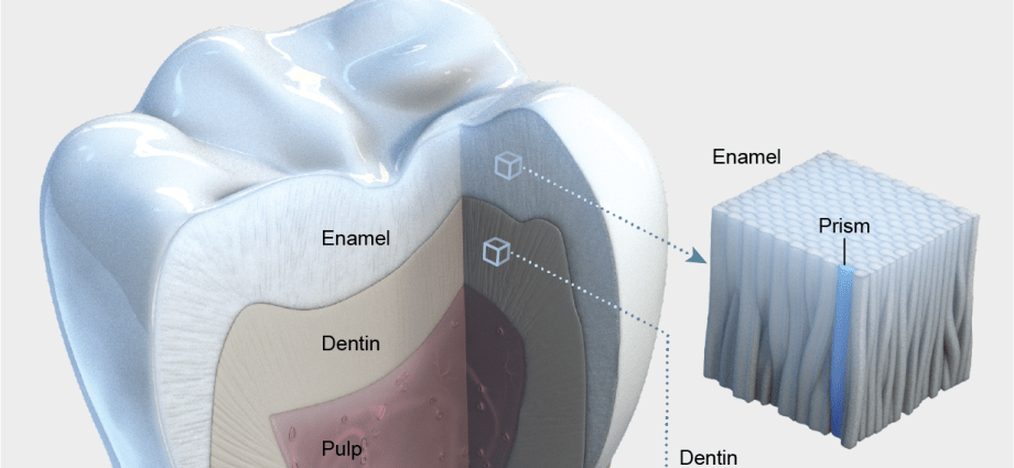 We asked an expert about how the condition of our teeth affects the condition of our body