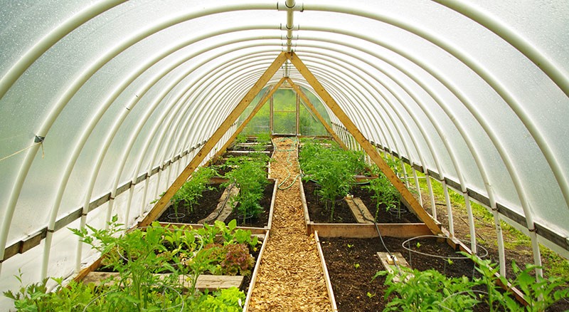 We build a greenhouse from polypropylene pipes with our own hands