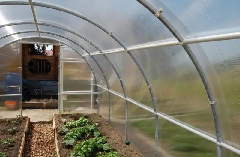 We build a greenhouse from polypropylene pipes with our own hands