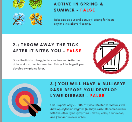 We debunk five popular myths about ticks