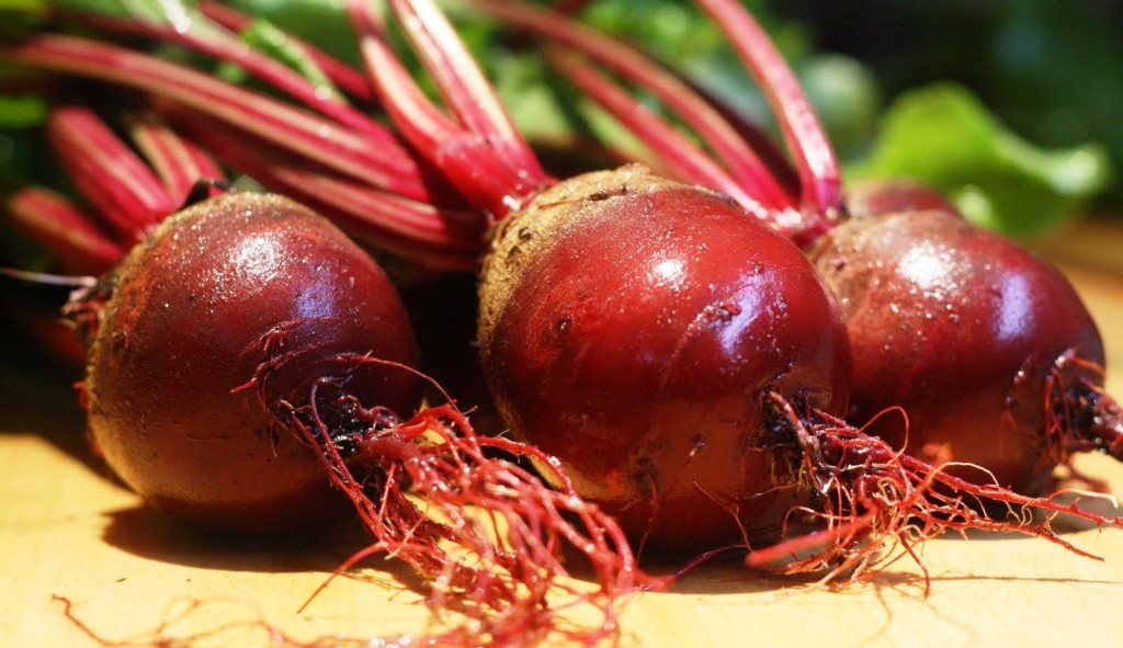 We harvest beets: how to properly harvest and store