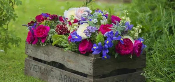 We make flower beds with our own hands from improvised means