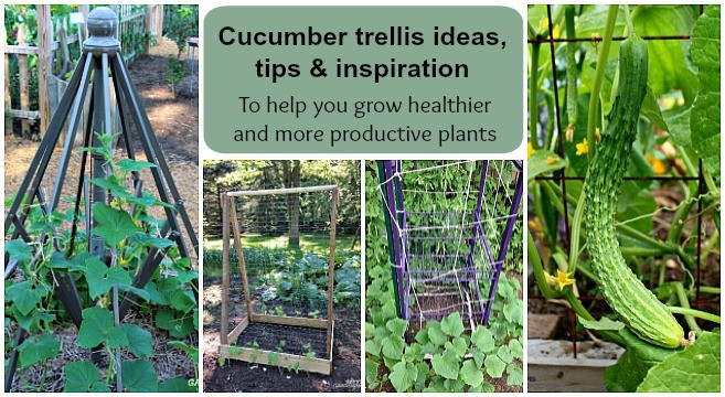 We make vertical beds for cucumbers with our own hands