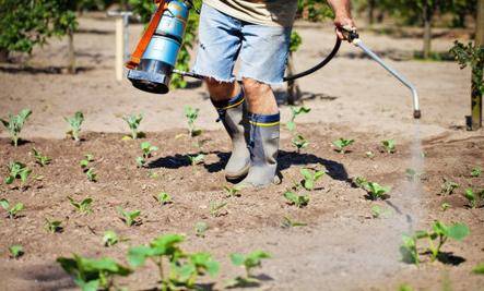 Weed killer Excellent worker: reviews 