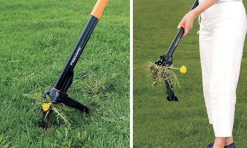 Weed remover with roots