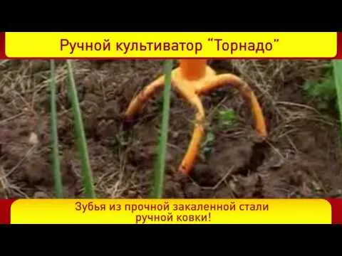 Weed remover with roots