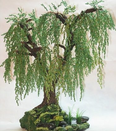 Weeping rowan: photo how to make