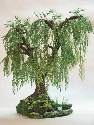 Weeping rowan: photo how to make