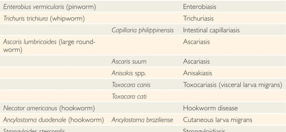 Węgorczyca &#8211; symptoms, treatment and causes. How can I prevent infection with intestinal nematodes?