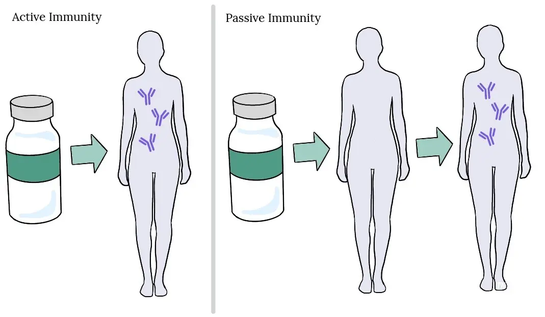 What about immunity?