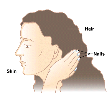 What and how does it affect the condition of the skin, hair and nails?