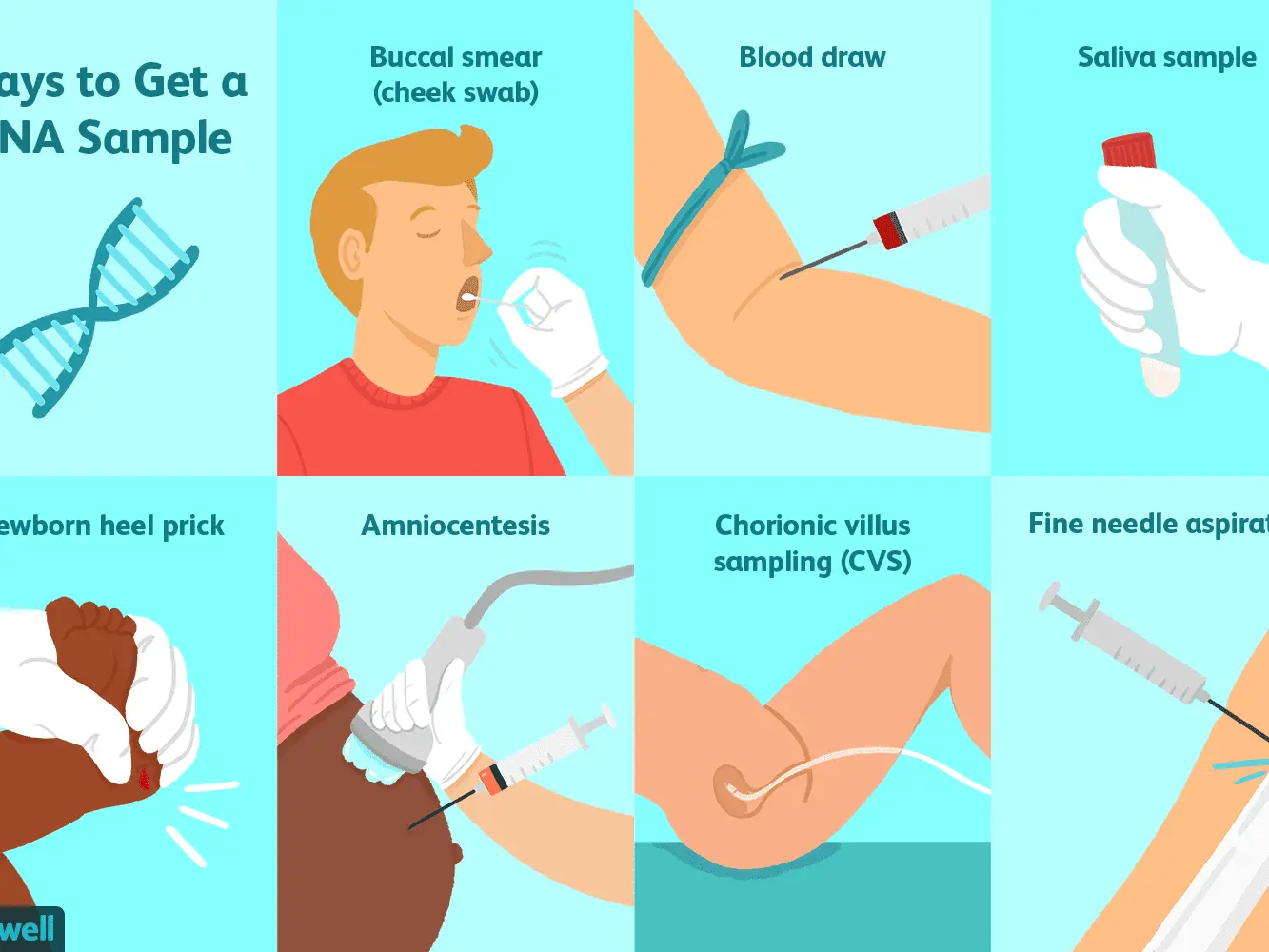 What are genetic tests and how do they work? [WE EXPLAIN]