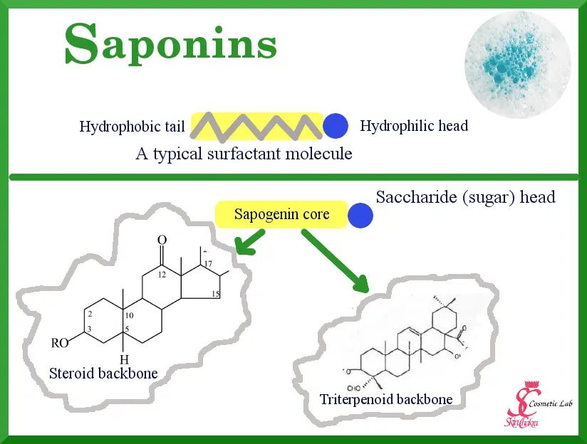 What are saponins?