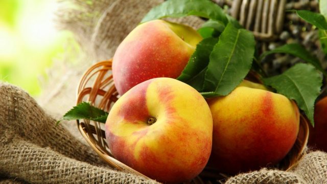 What are the benefits of peaches for a womans body