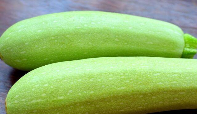 What are the benefits of zucchini for the body of women and men