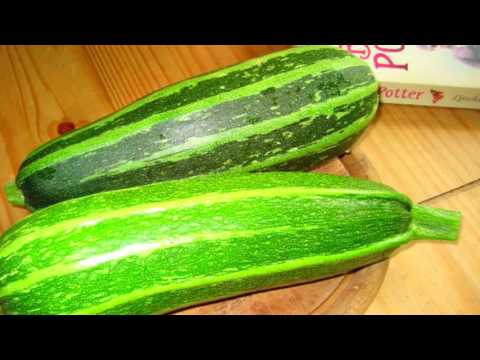 What are the benefits of zucchini for the body of women and men