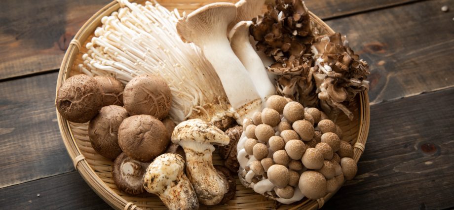 Cilat janë rreziqet e kërpudhave të konservuara nga dyqani